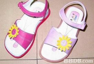 2019年香港寵物X光價格及商戶聯系資訊解析