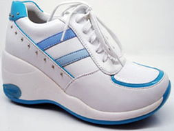 巨日鞋業(yè)產(chǎn)品指南 普通會員專享