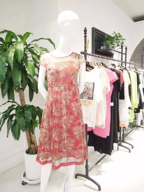 慧蘭女裝 優(yōu)雅風(fēng)尚，演繹東方女性的獨(dú)特魅力